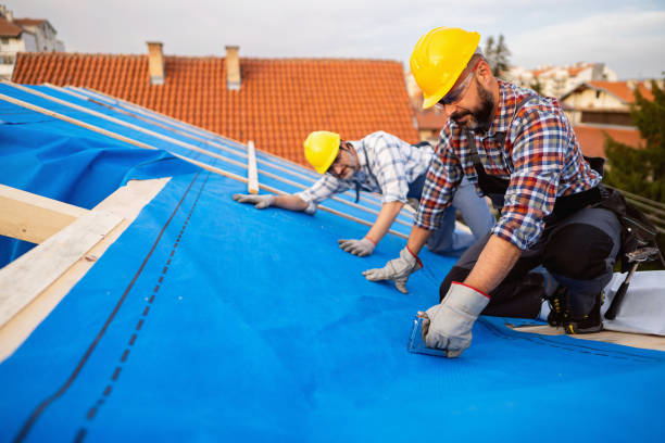 Best Gutter Installation and Repair  in Waynesboro, VA