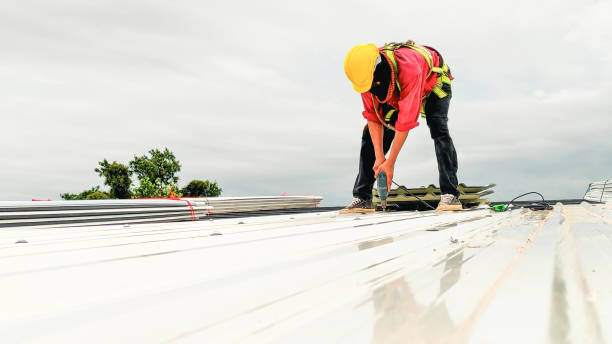 Best Rubber Roofing (EPDM, TPO)  in Waynesboro, VA