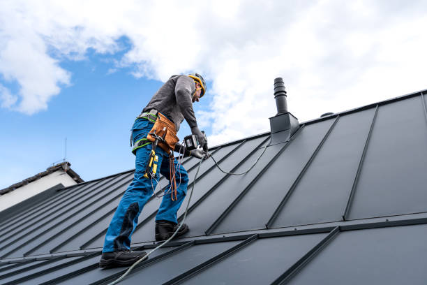 Best Solar Panel Roofing Installation  in Waynesboro, VA