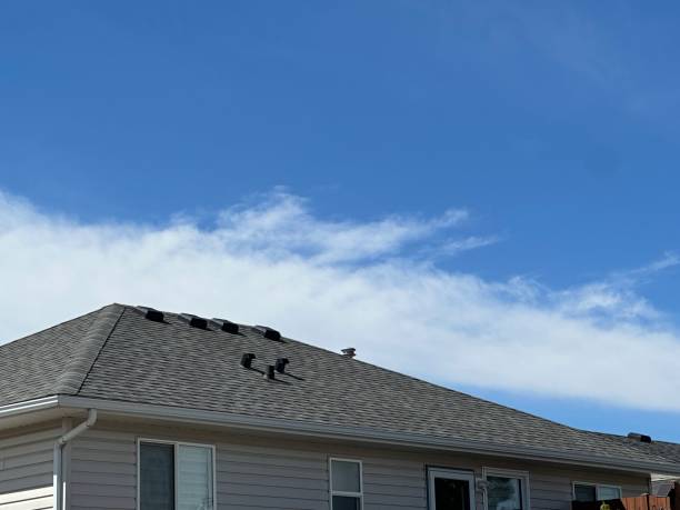 Best Asphalt Shingle Roofing  in Waynesboro, VA